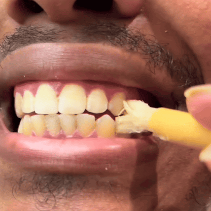 Ancient Miswak Toothbrush 1pc