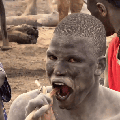 Ancient Miswak Toothbrush 1pc